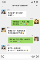 WeChat Group Chat Screenshot Meme Friends Planning A Weekend City Trip Four Friend