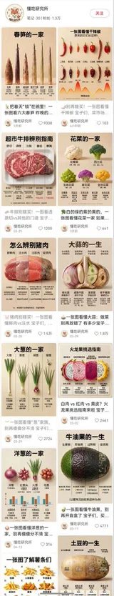 Food Lifecycle Infographic