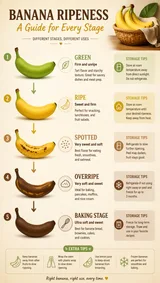 Single Food Life Cycle Infographic Single Food Life Cycle Infographic V1 English Regeneration 02